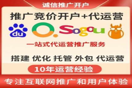 大型企业SEM外包实战案例